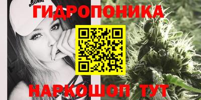 сатива Канаш