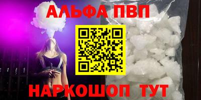 прущие грибы Камышлов