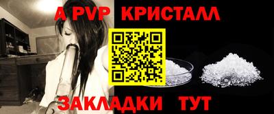 прущие грибы Камышлов