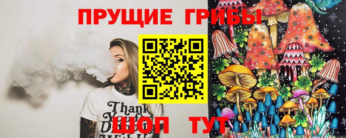 Псилоцибиновые грибы мицелий Кстово
